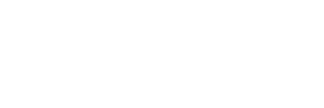 zleads-logo